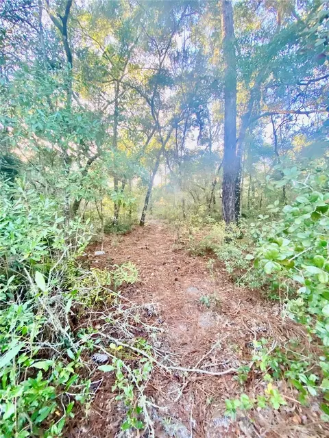 3986 S Pelican Ave, Inverness, FL 34450