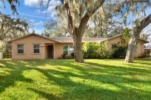 12929 Lincoln Rd, Riverview, FL 33578