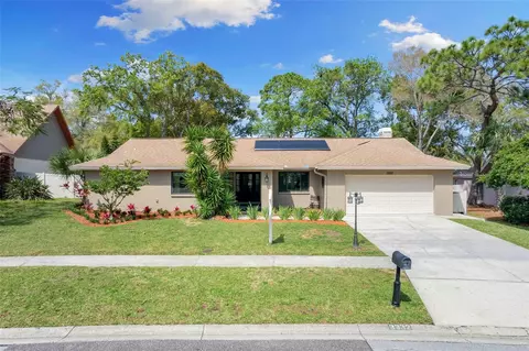 3332 Sandy Ridge Dr, Clearwater, FL 33761