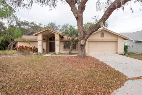 2805 Brambleridge Ct, Holiday, FL 34691