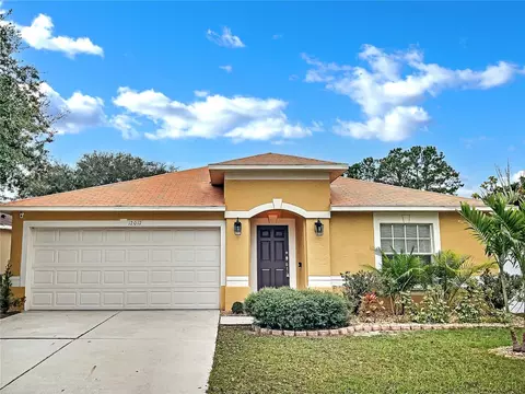 12017 Cedarfield Dr, Riverview, FL 33579