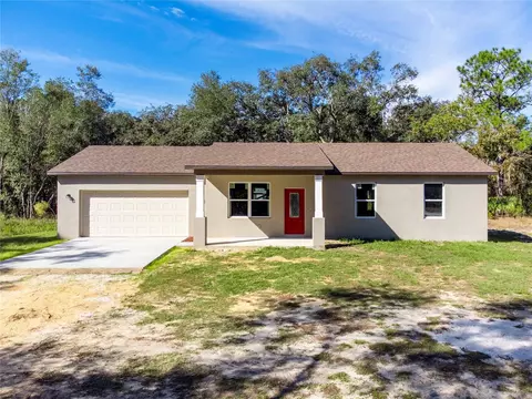 33511 Loop Ct, Webster, FL 33597