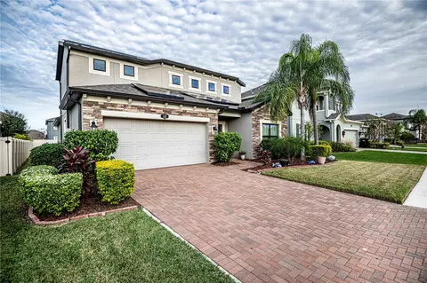 1132 Lorapetalum Ln, Lutz, FL 33558