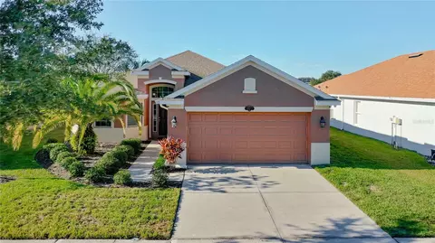 10917 Observatory Way, Tampa, FL 33647