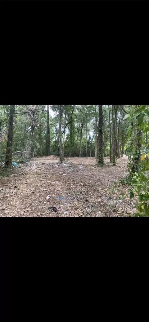 Redbud Lane, Brooksville, FL 34601