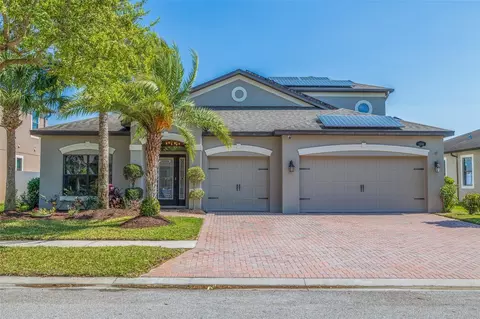 1846 Cameron Ct, Trinity, FL 34655