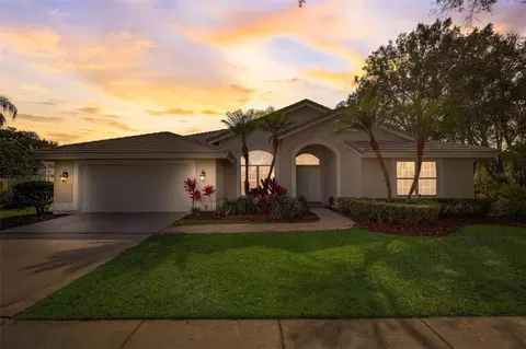 17713 Grey Eagle Rd, Tampa, FL 33647