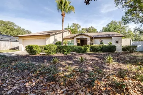 3008 Taragrove Dr, Tampa, FL 33618