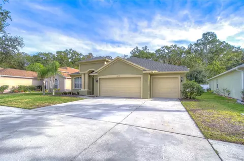 10528 Deerberry Dr, Land O Lakes, FL 34638