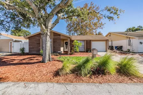 9608 Kingsburgh Ct, Tampa, FL 33615