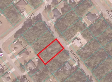 Tbd Elm Loop, Ocala, FL 34472