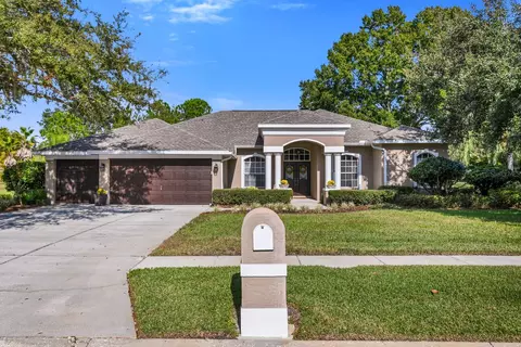 13639 Mill Pl, Odessa, FL 33556