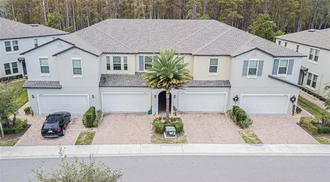 10068 Corso Milano Dr, Tampa, FL 33625