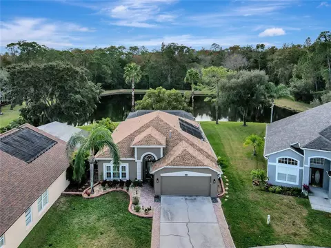 12552 Blazing Star Dr, Tampa, FL 33626