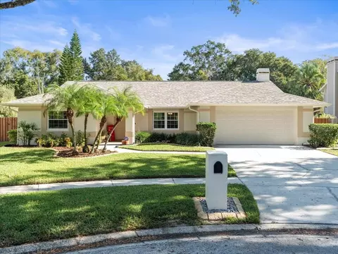 16917 Cedar Bluff Dr, Tampa, FL 33618