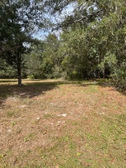 33544 Golf Course Loop, Wesley Chapel, FL 33544