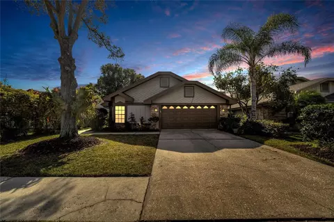 5018 Cypress Trace Dr, Tampa, FL 33624