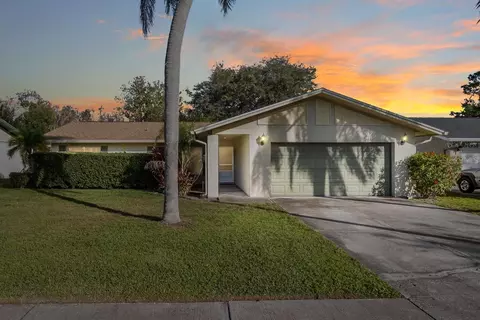 14503 Mecca Pl, Tampa, FL 33625