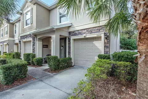 12627 Lexington Ridge St, Riverview, FL 33578
