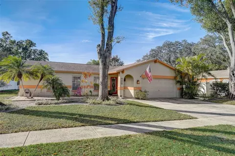 14022 Cherry Lake Dr, Tampa, FL 33618