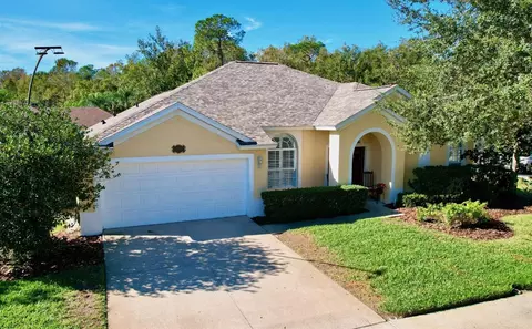 25552 Risen Star Dr, Wesley Chapel, FL 33544