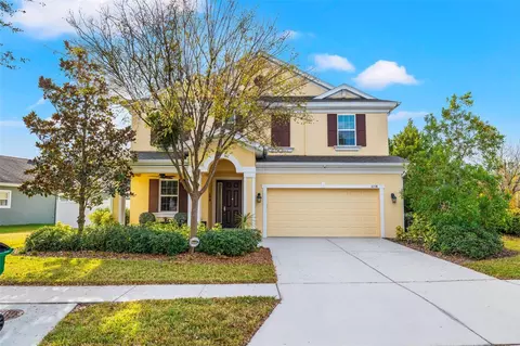 6338 Hawk Grove Ct, Wesley Chapel, FL 33545