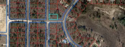 00 151 Ave, Williston, FL 32696