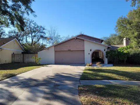 12406 Pampas Pl, Temple Terrace, FL 33617