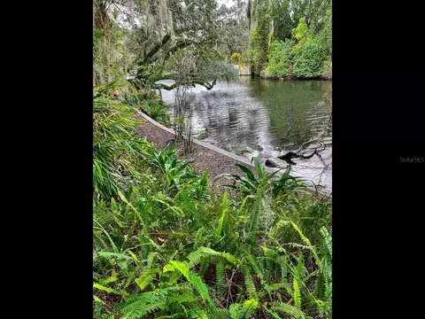 1214 E Park Cir, Tampa, FL 33604