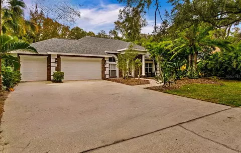 15920 Dawson Ridge Dr, Tampa, FL 33647
