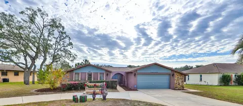 228 Eastpoint Ct, Spring Hill, FL 34606