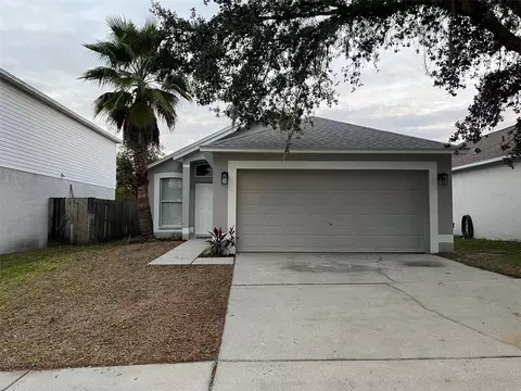 13511 Padron Ct, Riverview, FL 33579 photo 1