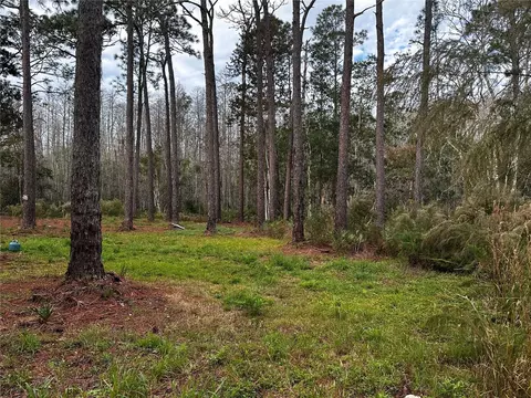 Undisclosed, New Port Richey, FL 34654