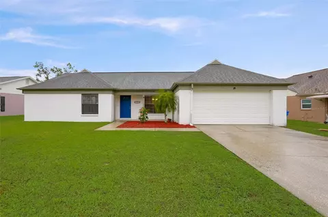 1311 Peachfield Dr, Valrico, FL 33596