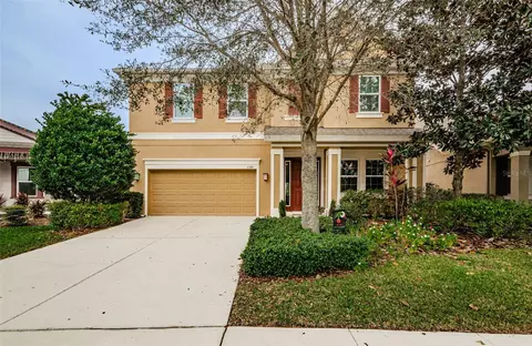 6343 Hawk Grove Ct, Wesley Chapel, FL 33545