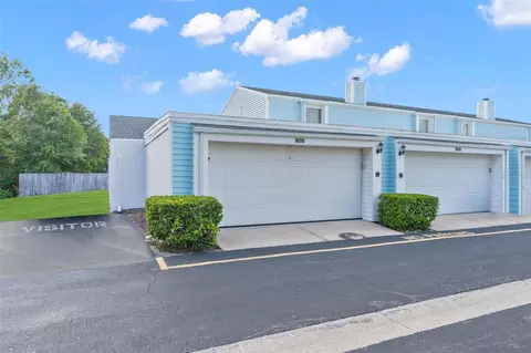 11902 Cypress Vis, Tampa, FL 33626