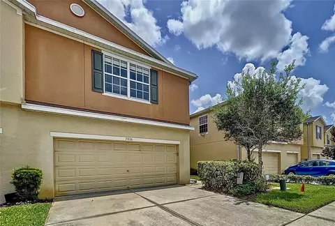 5018 White Sanderling Ct, Tampa, FL 33619