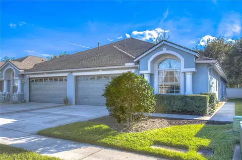 31840 Turkeyhill Dr, Wesley Chapel, FL 33543