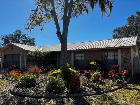 740 Isleton Dr, Brandon, FL 33511
