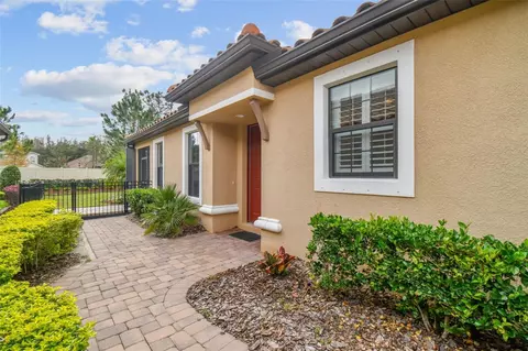8429 Alberata Vista Dr, Tampa, FL 33647