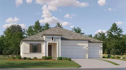 8356 Flying Fish Ct, Land O Lakes, FL 34637