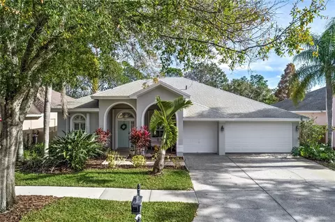 10011 Bennington Dr, Tampa, FL 33626