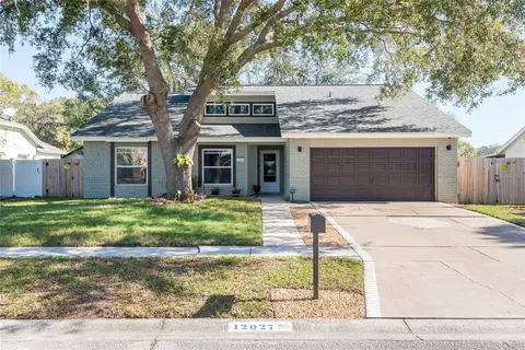 12027 Vermillion Way, Riverview, FL 33569
