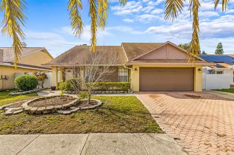 7052 Hollowell Dr, Tampa, FL 33634