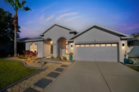 10916 Australian Pine Dr, Riverview, FL 33579