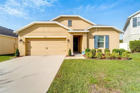 10653 Park Meadowbrooke Dr, Riverview, FL 33578