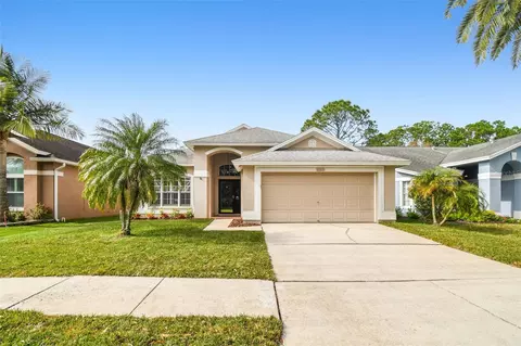 10322 Springrose Dr, Tampa, FL 33626