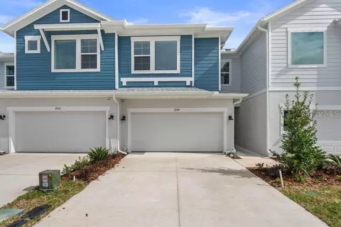 17246 Balance Cv, Land O Lakes, FL 34638