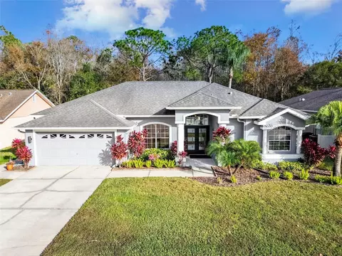 4836 Balsam Dr, Land O Lakes, FL 34639