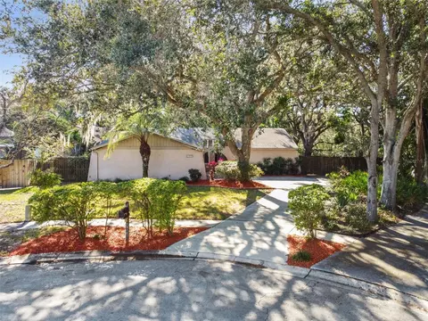 1910 Forest View Dr, Palm Harbor, FL 34683